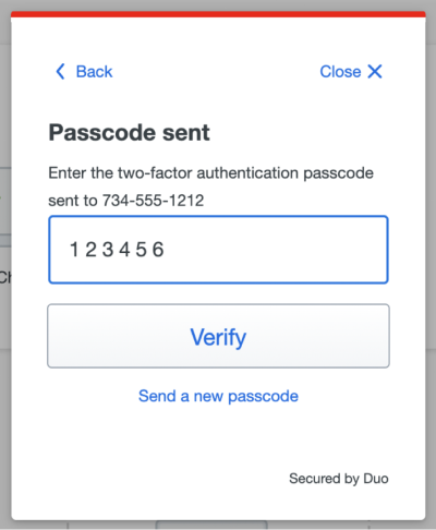 Duo verification passcode screen